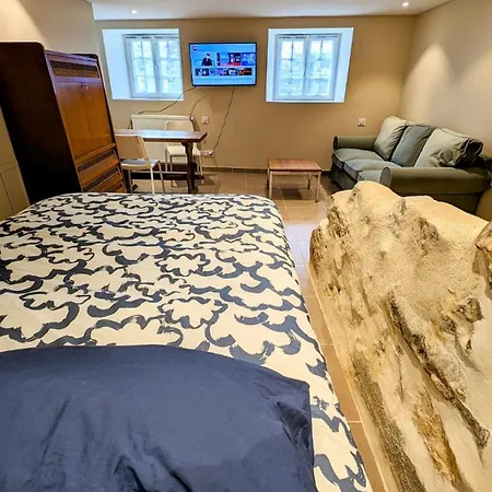 公寓 Studio - Hyper Centre - Proche Gare 阿维河畔维内